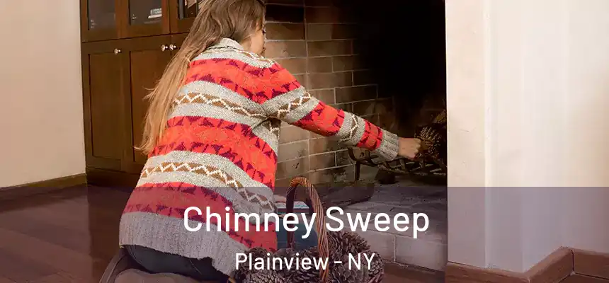  Chimney Sweep Plainview - NY