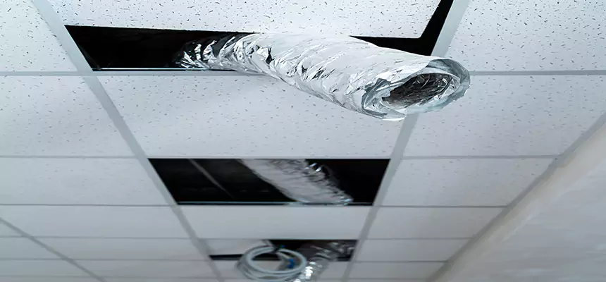 Affordable HVAC Sanitizing After Pest Removal in Plainview