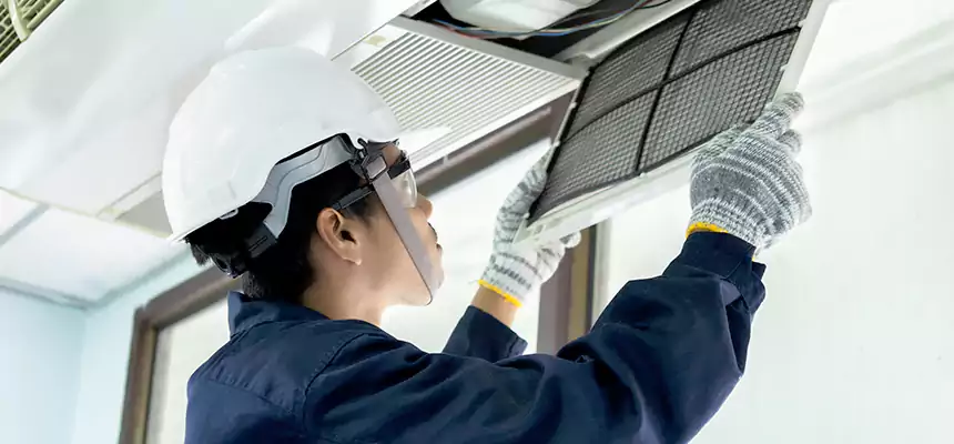 Our Mold & Mildew Removal from Air Ducts Services in Plainview, NY