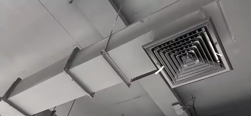 Our Rodent Droppings In Vents Services in Plainview, NY