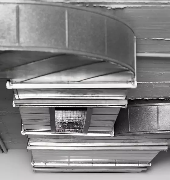 Professional Air Duct Pest Removal in Plainview, NY