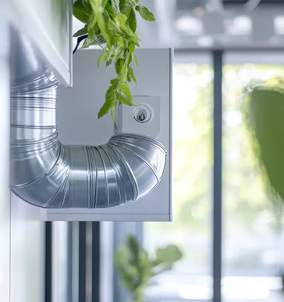 Professional Eco-Safe Dryer Vent Cleaning in Plainview, NY