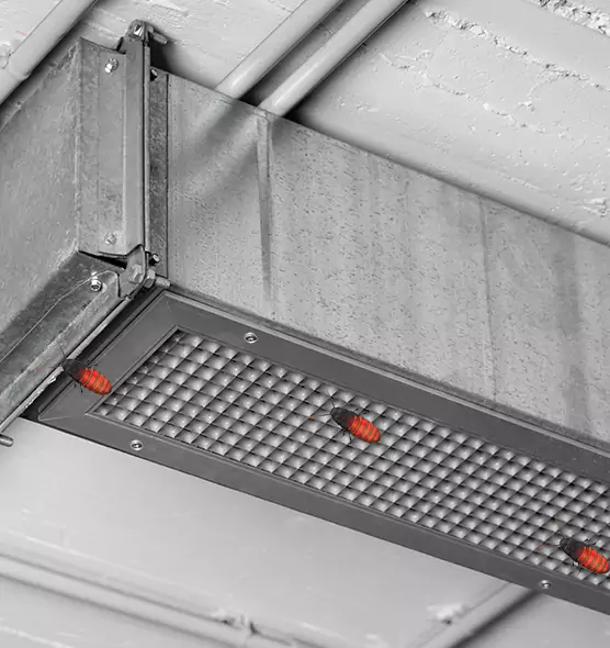 Affordable Insect Removal from Air Ducts in Plainview, NY