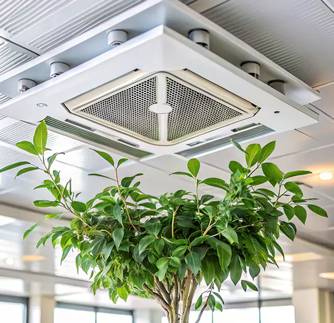 Why Homeowners & Businesses Trust Us in Plainview, NY?