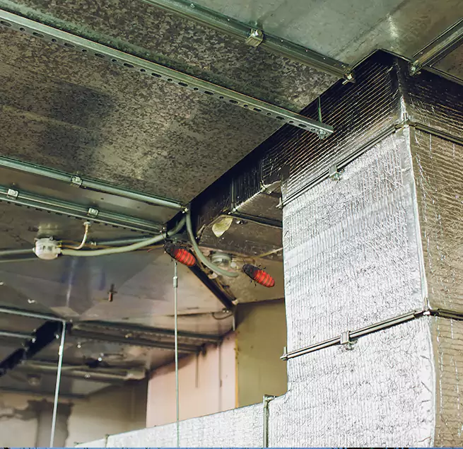 Why Homeowners & Businesses Trust Us Plainview, NY?